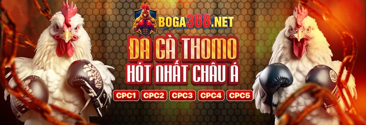 Tải ứng dụng 8dayvn để nhận khuyến mãi hấp dẫn
